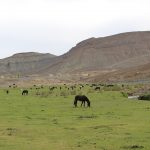 Projet de Préservation de l’Environnement et Promotion de l’Ecotourisme dans la vallée Assif Melloul et le plateau des lacs